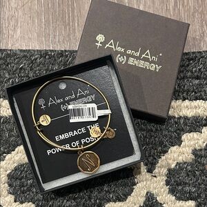 Alex and Ani N Gold Charm Bracelet